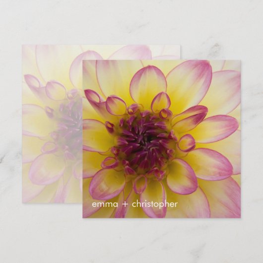 Bourgogne, geel en Witte Dahlia Save The Date (Voorkant / Achterkant)