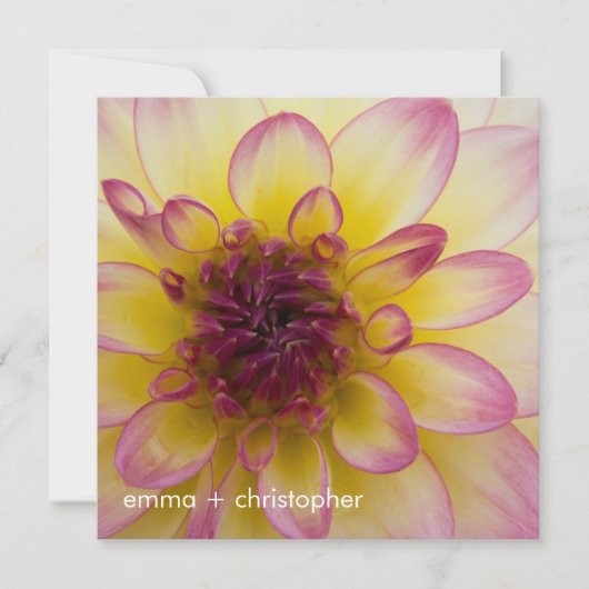 Bourgogne, geel en Witte Dahlia Save The Date (Voorkant)