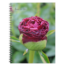 Bourgogne Peony Bud Notitieboek