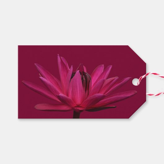 Bourgogne Roze Water Lily Cadeau Labels Cadeaulabel (Voorkant (Horizontaal))