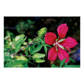 Bourgondië elegantie: het liefdeslied van de Natuu Perfect Poster (Voorkant)