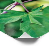 Bourgondië elegantie: het liefdeslied van de Natuu Perfect Poster (Hoek)