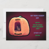 Bourgondië en oranje pompoen  Griezelige kitten Kaart (Voorkant)