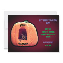 Bourgondië en oranje pompoen  Griezelige kitten