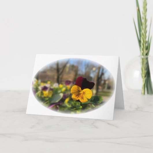 Bourgondische gele violier kaart (Voorkant)