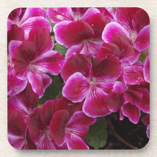 Bourgondische Geranium Drankjes Onderzetter (Voorkant)