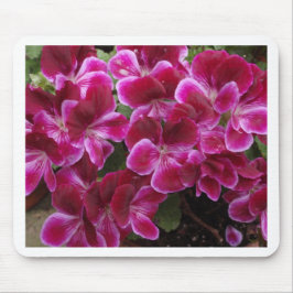 Bourgondische Geranium Muismat