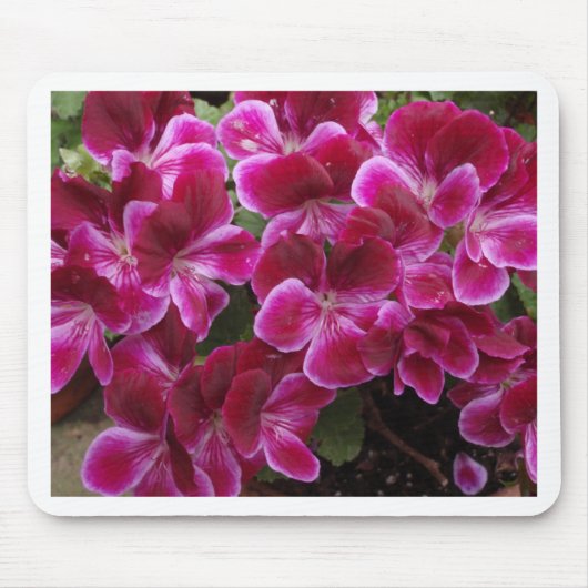 Bourgondische Geranium Muismat (Voorkant)