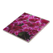 Bourgondische Geranium Tegeltje (Zijkant)