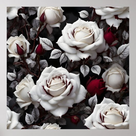 Bourgondische witte rozen met zwarte bladeren poster (Voorkant)