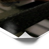 Bourkes Parakeet Glossy Poster (Hoek)