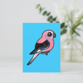 Bourke's parkiet briefkaart (Staand voorkant)