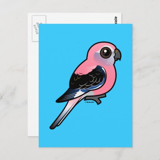 Bourke's parkiet briefkaart (Voorkant / Achterkant)