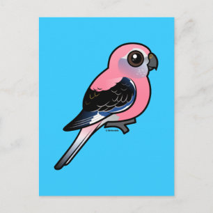 Bourke's parkiet briefkaart