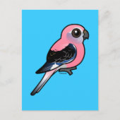 Bourke's parkiet briefkaart (Voorkant)