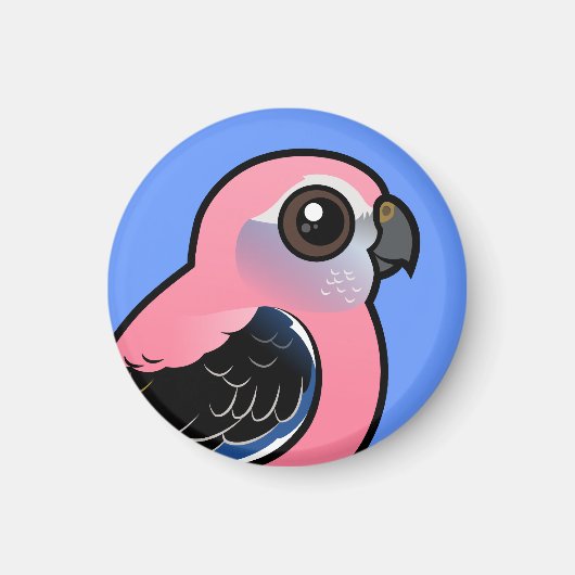 Bourke's parkiet magneet (Voorkant)