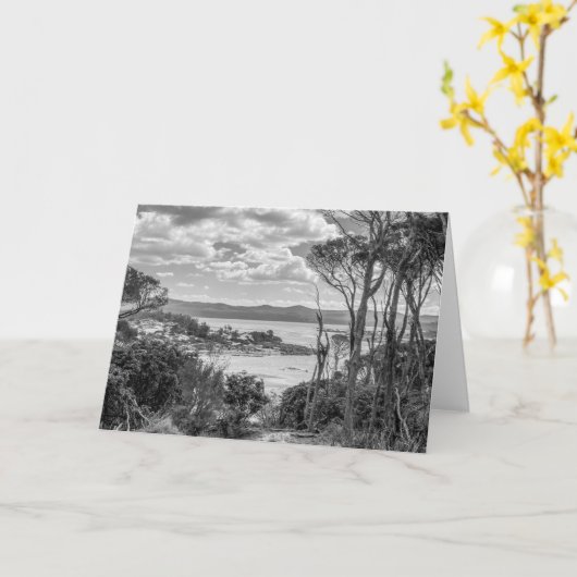 Bournda Lake Kaart (Gele Bloem)