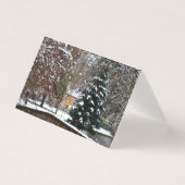 Bourton op de Katoeages met de waterkerst Kaart (Voorkant)