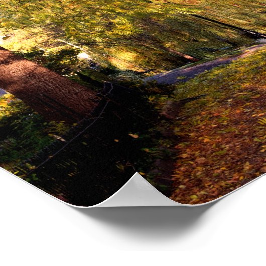 Bourton op de waterherfst Trees Cotswolds Verenigd Poster (Hoek)