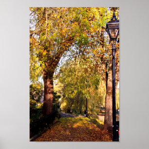 Bourton op de waterherfst Trees Cotswolds Verenigd Poster
