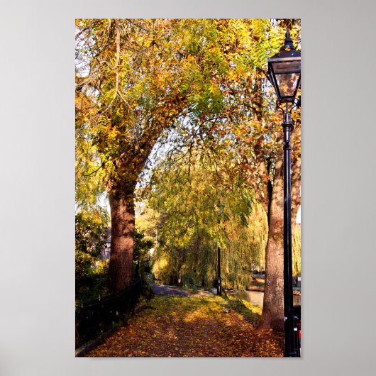 Bourton op de waterherfst Trees Cotswolds Verenigd Poster (Voorkant)