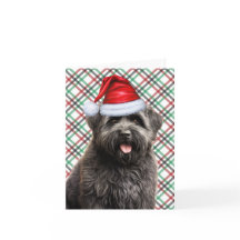 Bouvier Christmas Dog Green Red Plaid Christmas