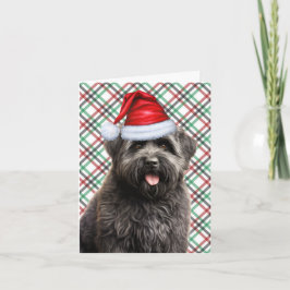 Bouvier Christmas Dog Green Red Plaid Christmas Feestdagen Kaart