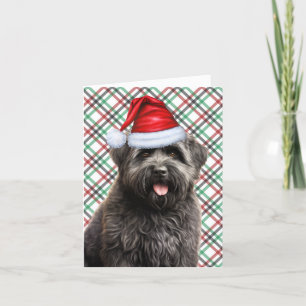 Bouvier Christmas Dog Green Red Plaid Christmas Feestdagen Kaart