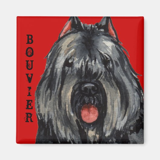 Bouvier Color Block Magneet (Voorkant)