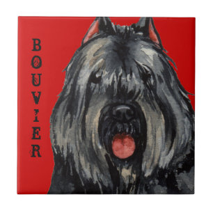 Bouvier Color Block Tegeltje