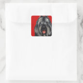 Bouvier Color Block Vierkante Sticker (Tas)