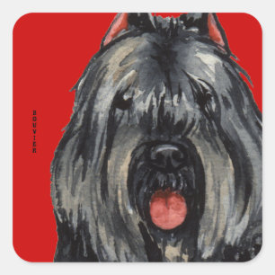 Bouvier Color Block Vierkante Sticker