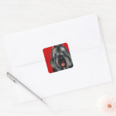 Bouvier Color Block Vierkante Sticker (Envelop)