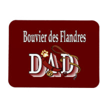 Bouvier des Flandres Dad