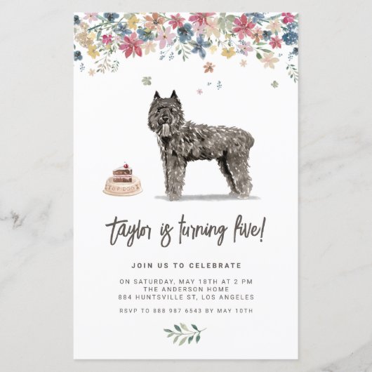 Bouvier des Flandres Dog Birthday Invitation (Voorkant)