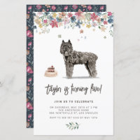 Bouvier des Flandres Dog Birthday Invitation