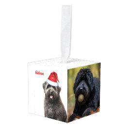 Bouvier des Flandres Dog Two Photo Holiday Decoratie