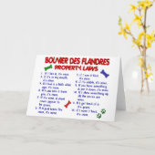 BOUVIER DES FLANDRES Eigendomsrecht 2 Kaart (Gele Bloem)