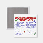 BOUVIER DES FLANDRES Eigendomsrecht 2 Magneet (Voorkant / Achterkant)