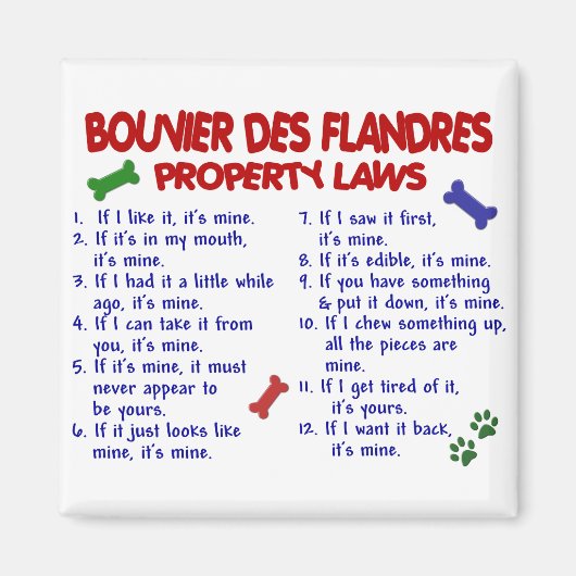 BOUVIER DES FLANDRES Eigendomsrecht 2 Magneet (Voorkant)