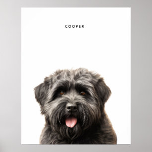 Bouvier des Flandres gepersonaliseerde print