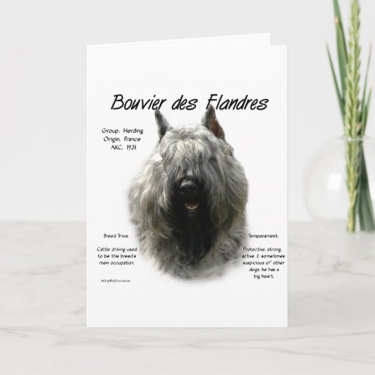 Bouvier des Flandres History Design Feestdagen Kaart (Voorkant)