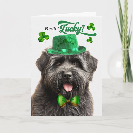 Bouvier des Flandres Hond Lucky St Patrick's Day Feestdagen Kaart (Voorkant)