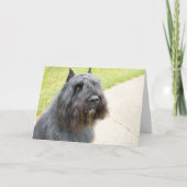 Bouvier des Flandres Kaart (Voorkant)