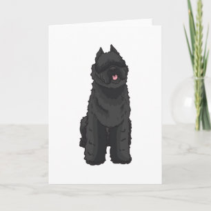 Bouvier des Flandres Kaart