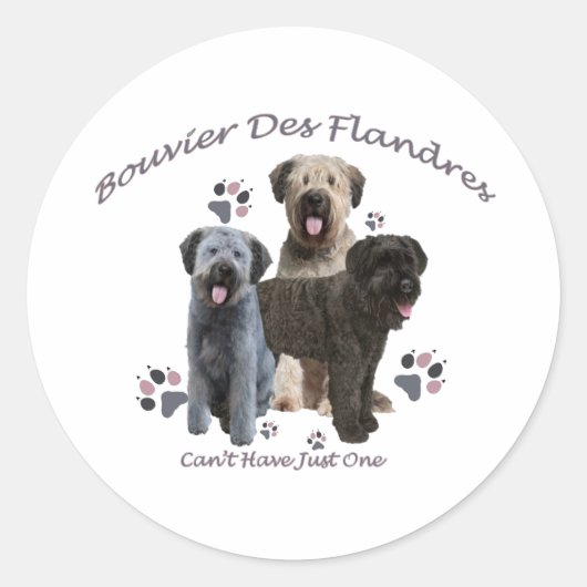 Bouvier Des Flandres kan niet slechts één hebben Ronde Sticker (Voorkant)
