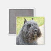 Bouvier des Flandres Magneet (Voorkant / Achterkant)
