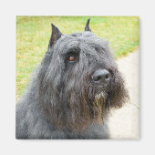Bouvier des Flandres Magneet (Voorkant)