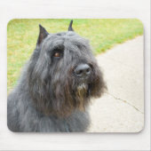 Bouvier des Flandres Muismat (Voorkant)