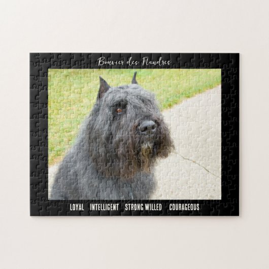 Bouvier des Flandres Photo Hondenras Legpuzzel (Horizontaal)